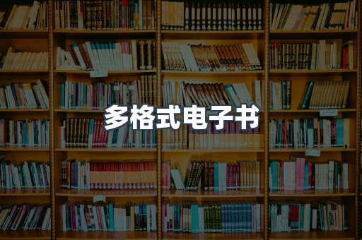多格式电子书